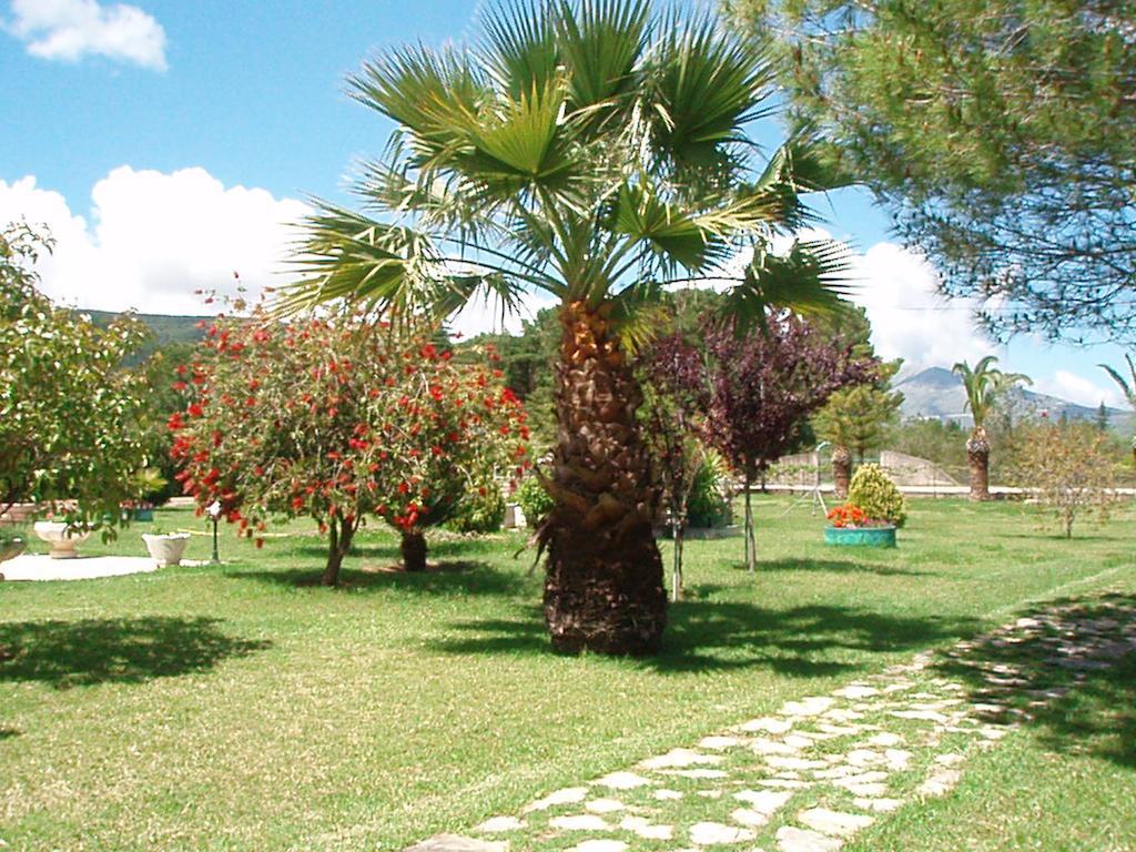 Finikes Studios Kefalonia Sami  Zewnętrze zdjęcie