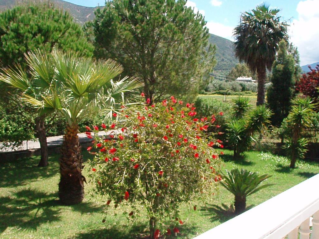 Finikes Studios Kefalonia Sami  Zewnętrze zdjęcie