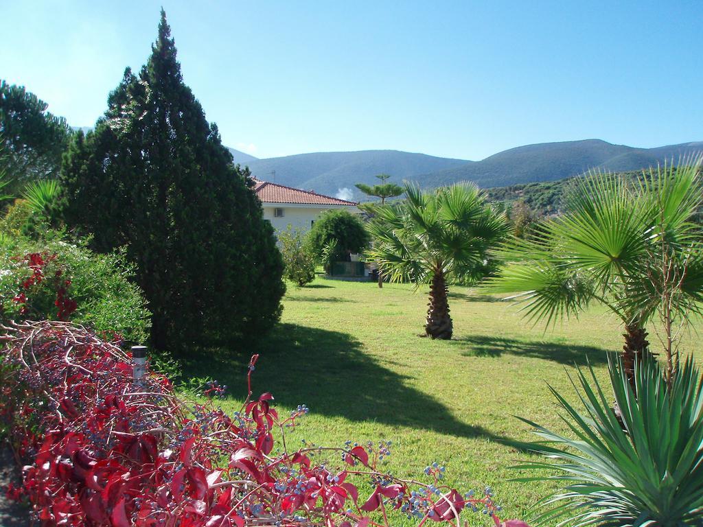 Finikes Studios Kefalonia Sami  Zewnętrze zdjęcie