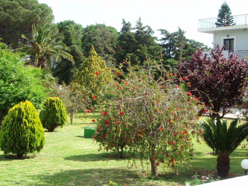 Finikes Studios Kefalonia Sami  Zewnętrze zdjęcie