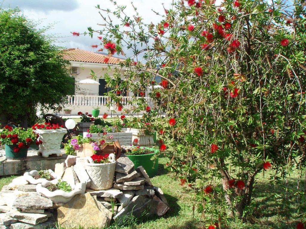 Finikes Studios Kefalonia Sami  Zewnętrze zdjęcie