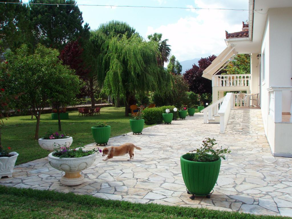 Finikes Studios Kefalonia Sami  Zewnętrze zdjęcie