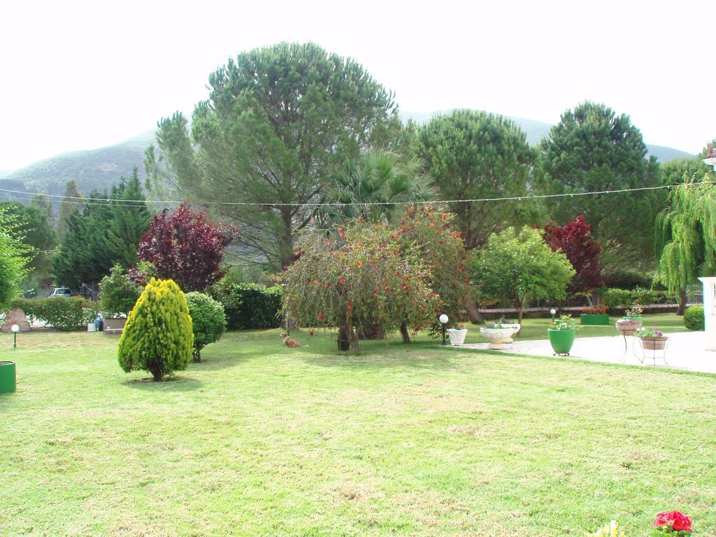 Finikes Studios Kefalonia Sami  Zewnętrze zdjęcie