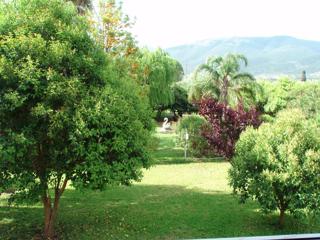 Finikes Studios Kefalonia Sami  Zewnętrze zdjęcie