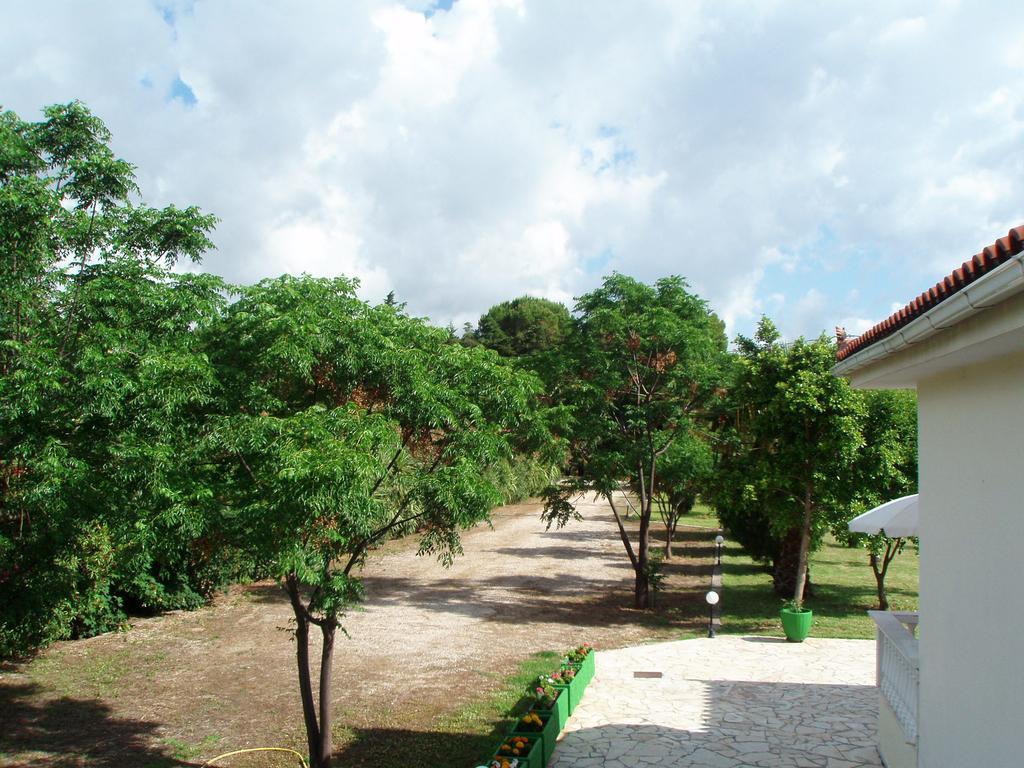 Finikes Studios Kefalonia Sami  Zewnętrze zdjęcie
